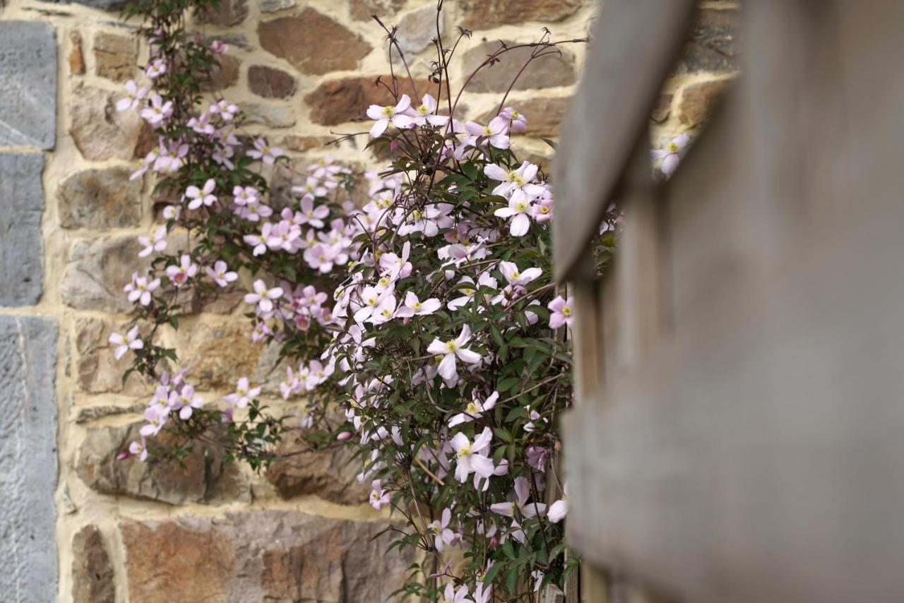 Gite Du Jardin Тё Экстерьер фото